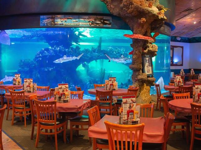 Dillon's KC BBQ at Wildlife World Zoo interior